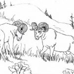 Animal Colorings – Bighorn