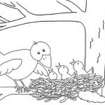 Bird spring pat coloring pages