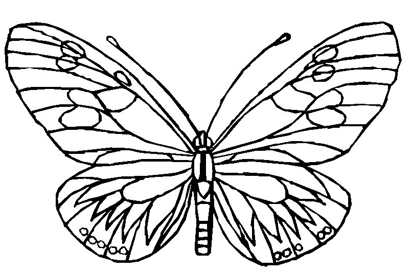 Coloring Page Butterflies