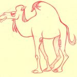 Camels coloring pages