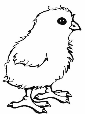 Chick coloring pages