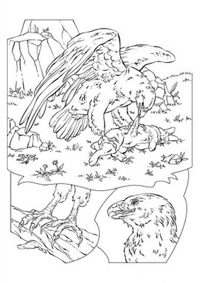Eagle coloring pages