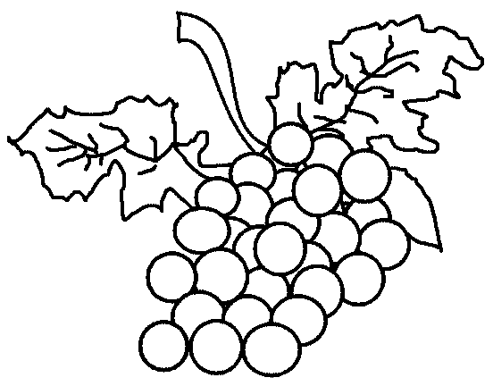 Grape fruit coloring pages