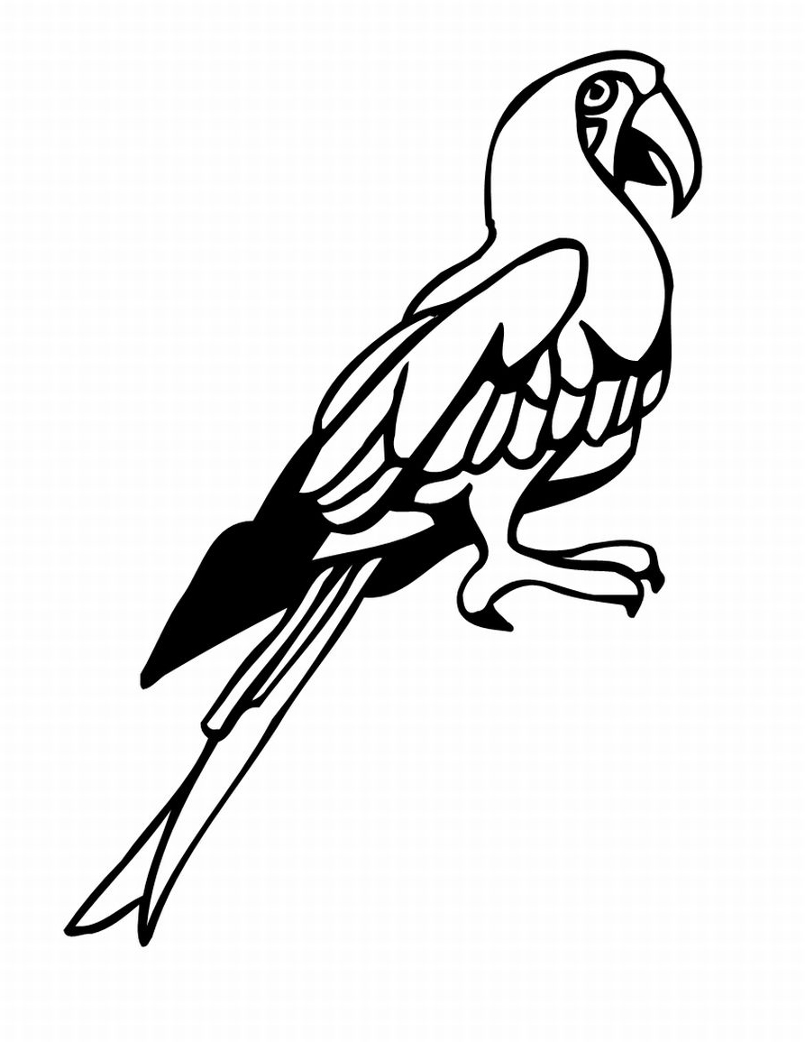 Tropical Bird Coloring Pages